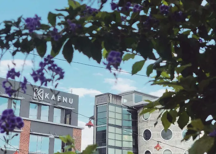 Kafnu Alexandria