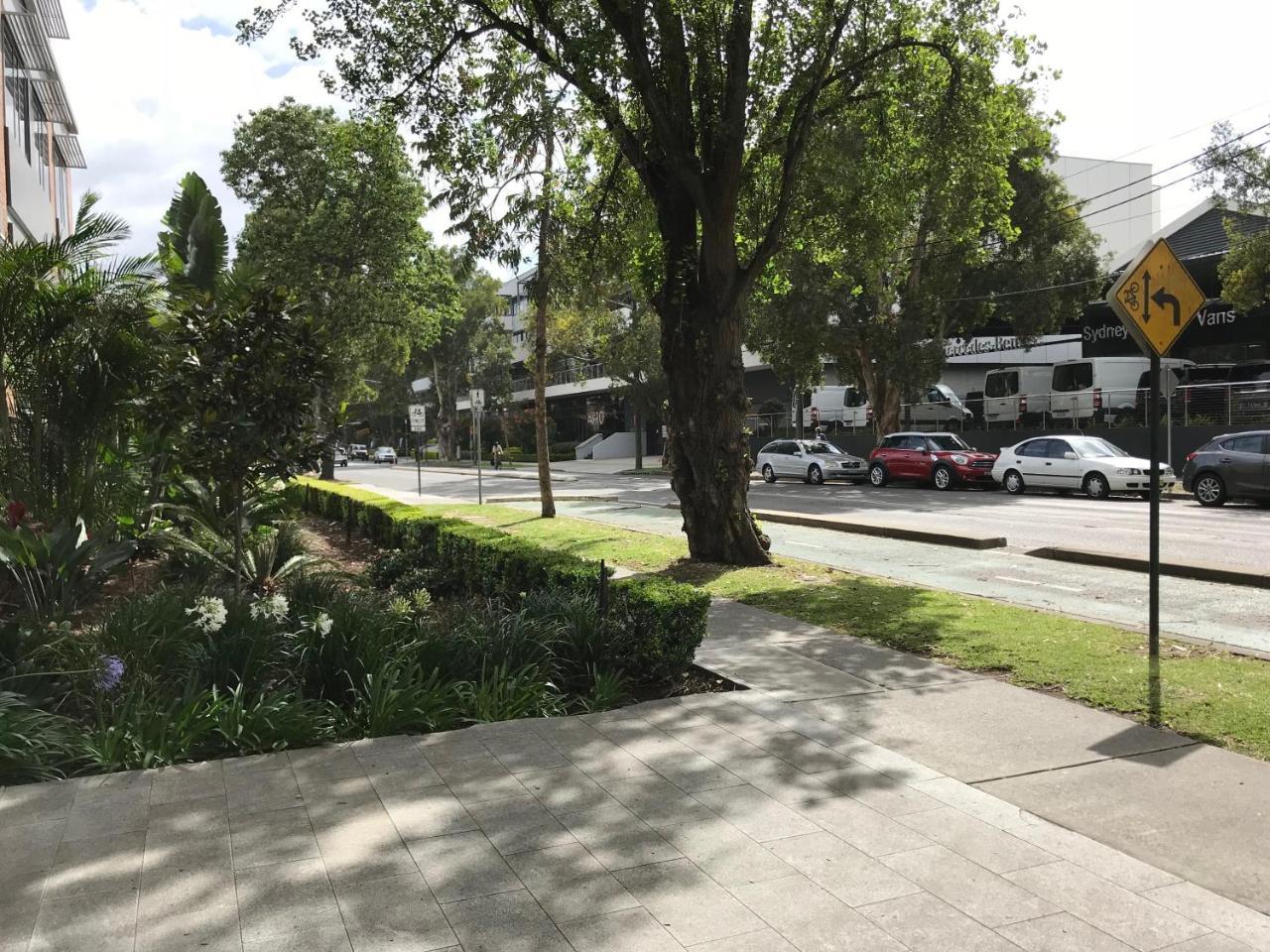 Kafnu Alexandria Sydney